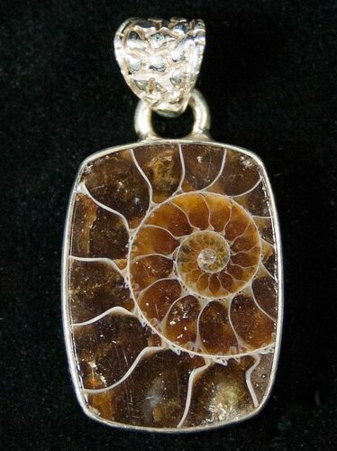 Fossil Ammonite Pendant - Sterling Silver #16771